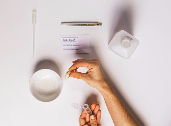 Phylos Bioscience Certified Plant sex test 3